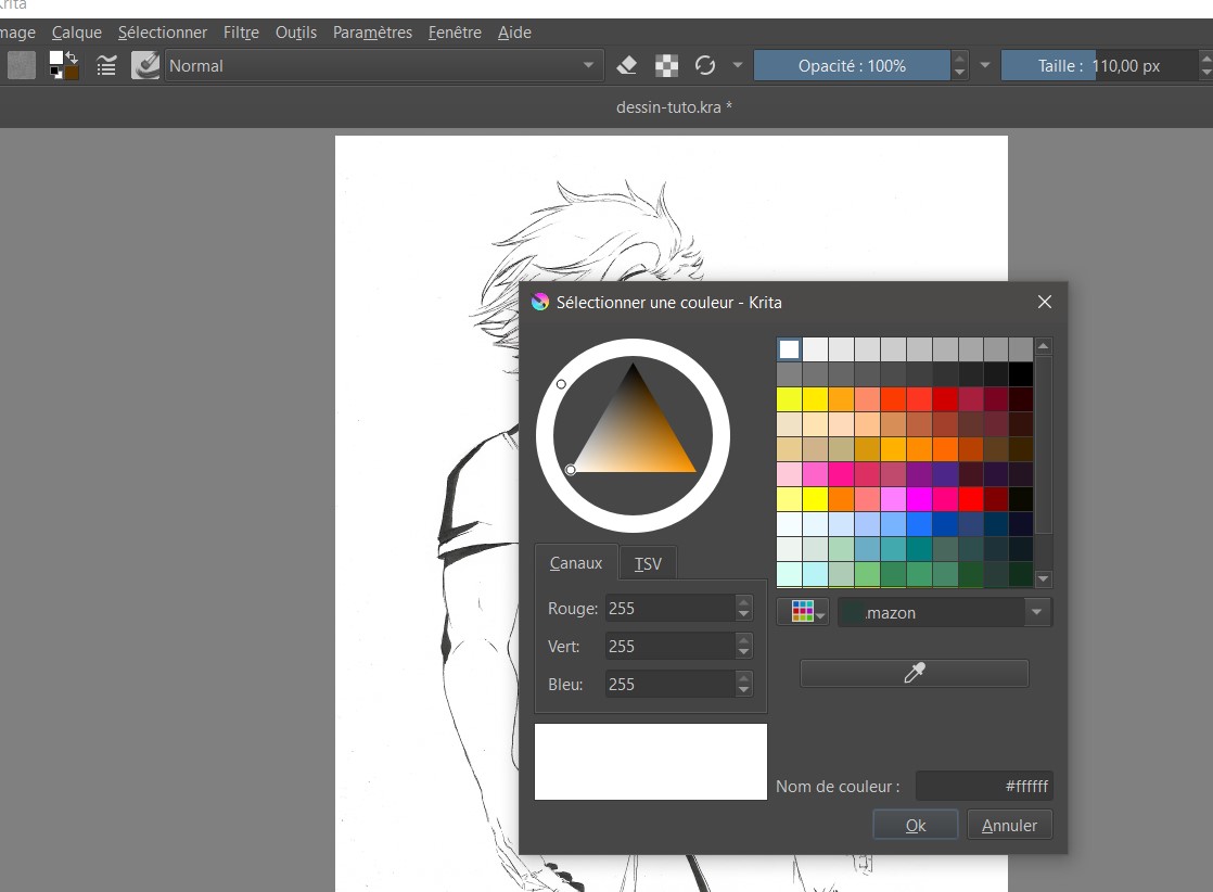 selectionner une couleur